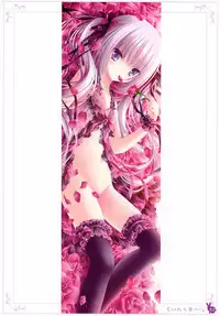 [Rabbit] habit net chronicles 2nd volume