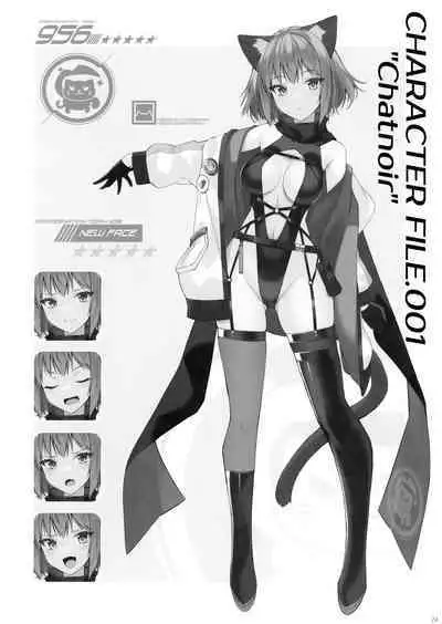 (C100) [Digital Flyer (Oota Yuuichi)] Kukkoro Butai no Assassin-san.