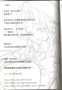 (FF19) [Denmoe (Try)] Touhou Innyuuen Sono Ni (Touhou Project) [Chinese]