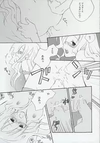 (C65) [Megaton Megane (Thomas)] Kanjou Kyouiku (Summon Night 3)