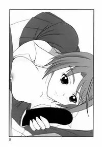 (C72)[Leaf Party (Nagare Ippon)] Lele Pappa Vol.11 Busourenkin (Mai-Hime)