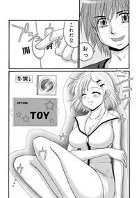 Darenimo Ienai Maru himitsu + vol.12