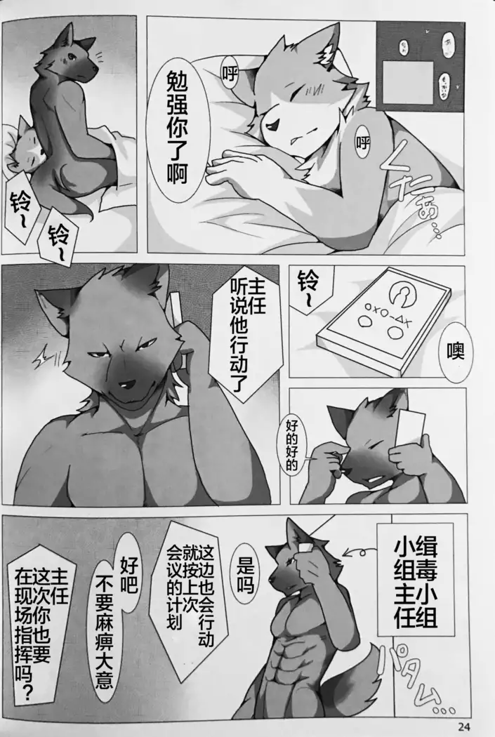 PUSH-PULL! （Chinese）