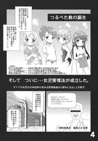 (C74) [Tsurupeta (Various)] Tsurupeta Kenkyuu Houkokusho "Kakyuu Sentou In no Isshou" - Turupeta Research Report