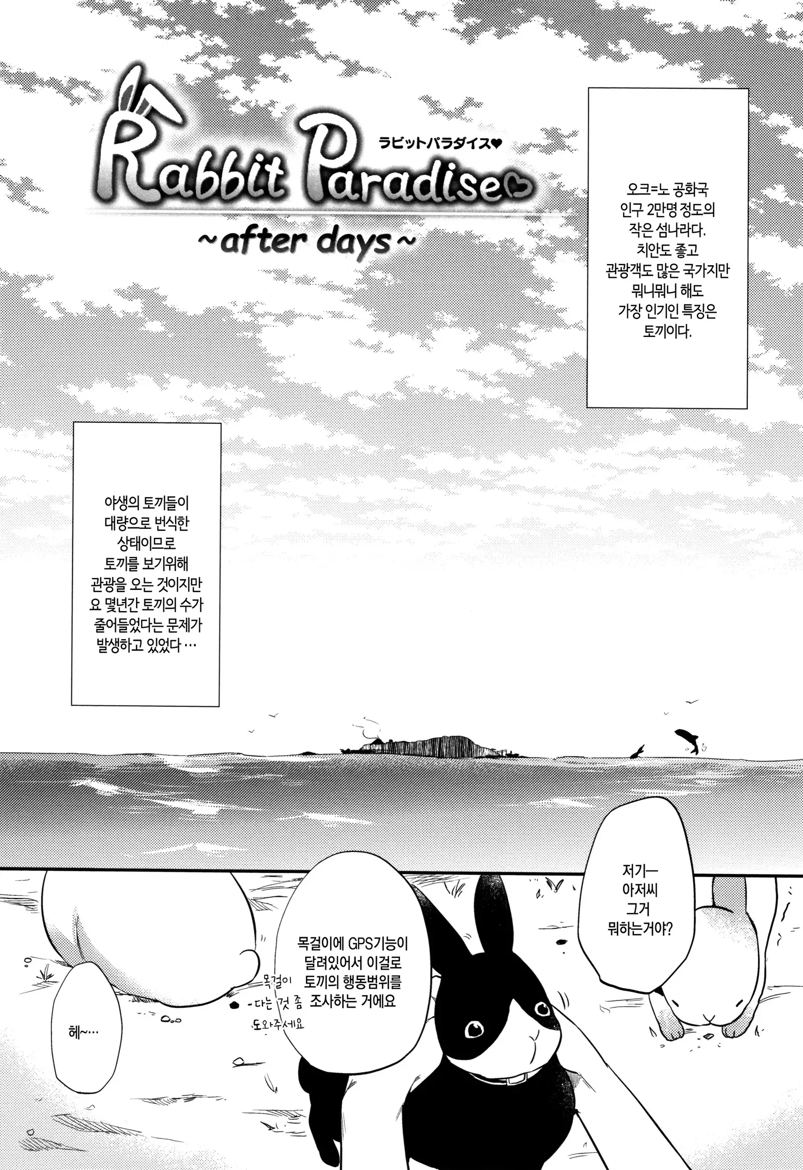 Rabbit Paradise | 래빗 파라다이스