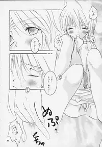 [Sakurara & Cherry (Sakura Mitsuru)] Pink Snow memoria (Hunter x Hunter)