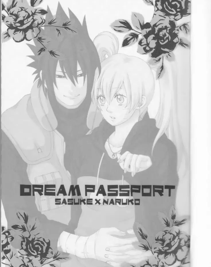 Dream Passport ongoing