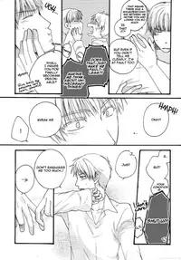 (C77) [Syavadava-Do!! (Momika)] Meine Liebe (Axis Powers Hetalia) [English]