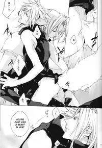 (C76) [kiki (Fujiwara Beni)] Liquid Bloom (Final Fantasy VII) [English]