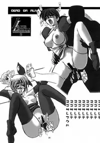 (C56) [UA Daisakusen (Harada Shoutarou)] Ruridou Gahou 9 (Dead Or Alive)