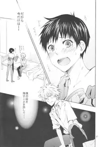 (C83) [Praline (Suzunari Natsuru)] Nr.9 (Neon Genesis Evangelion)