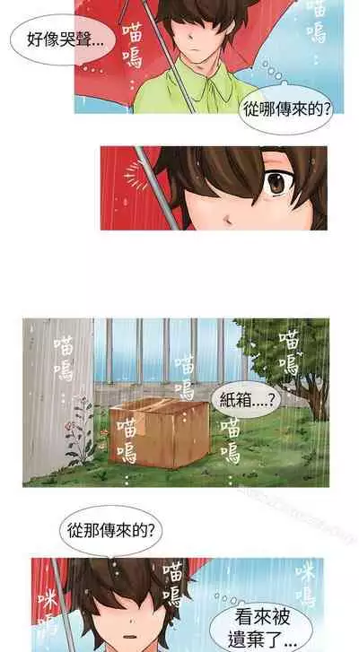 小野貓馴服手冊