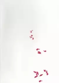 (C91) [Clochette (Sakura Yuki)] Kekkonshiki Nijikai Shoya Sonogo Soushuuhen (Love Live!)