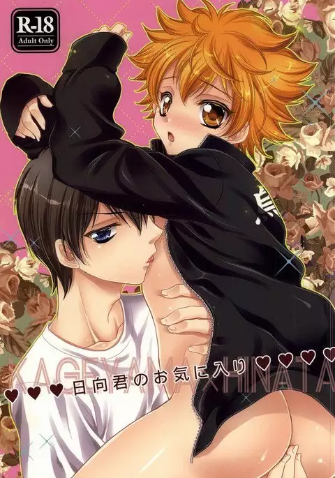 Hinata-kun no Okiniiri