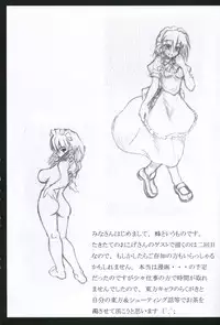 [Takitate No Okoge]Touhou Reverse Vector Book, Falling to Earth{Touhou Project}