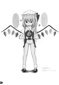 (C79) [Yu. (Yuzuriha)] Namanie Porcini (Touhou Project)