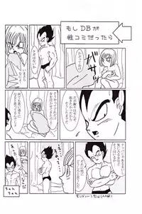 Vegeta and Bulma Love (Dragonball)