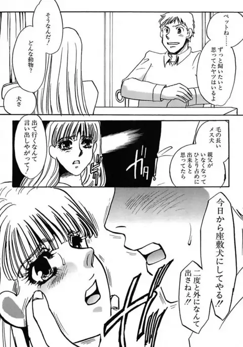 Ijou Seiyoku Mesuinu Toshite