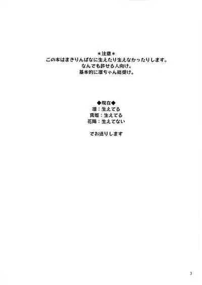 Rin no Mondai Meisou-chuu!