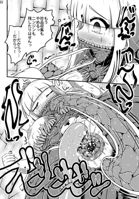 Sodatsu Teisoutai o Haita Ohime-sama no Haisetsu Jijou