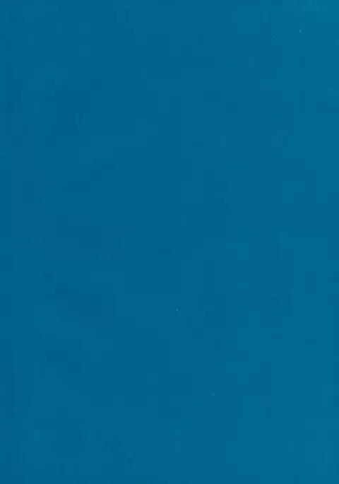 Namashibori Peach Fizz