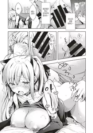 Figu♡Story | 피규♡스토리