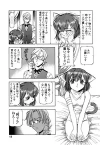 [Itoyoko] Mesu Neko - Maid Cats Story