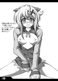 [Trick Dream (Z26)] REBELLION OF CHRIS (Senki Zesshou Symphogear) [Digital]