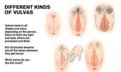 [Yoiko Books (66b)] Our Bodies (How Children Are Made) -2nd Edition (English)