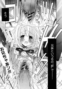 Comic Hime Dorobou 2008-05