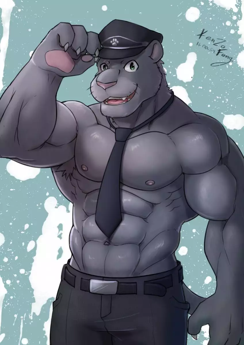 16 Sets/Reward Packs