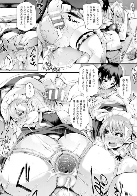 Sakusaku Meat Pie + Melonbooks leaflet