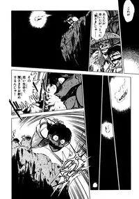 [Shibata Masahiro] Nano Sector