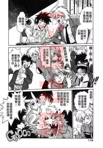 Oniku de CHU - Meat & Meet Paradise