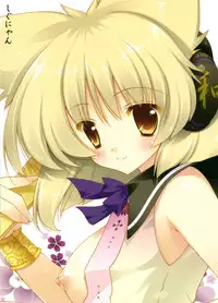 (Kouroumu 7) [Shigunyan] Juunin Yokugi (Touhou Project)