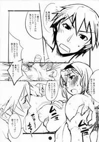 (COMIC1☆5) [Tansan Alkali (Tanru)] Summer Of Love (IS <Infinite Stratos>)