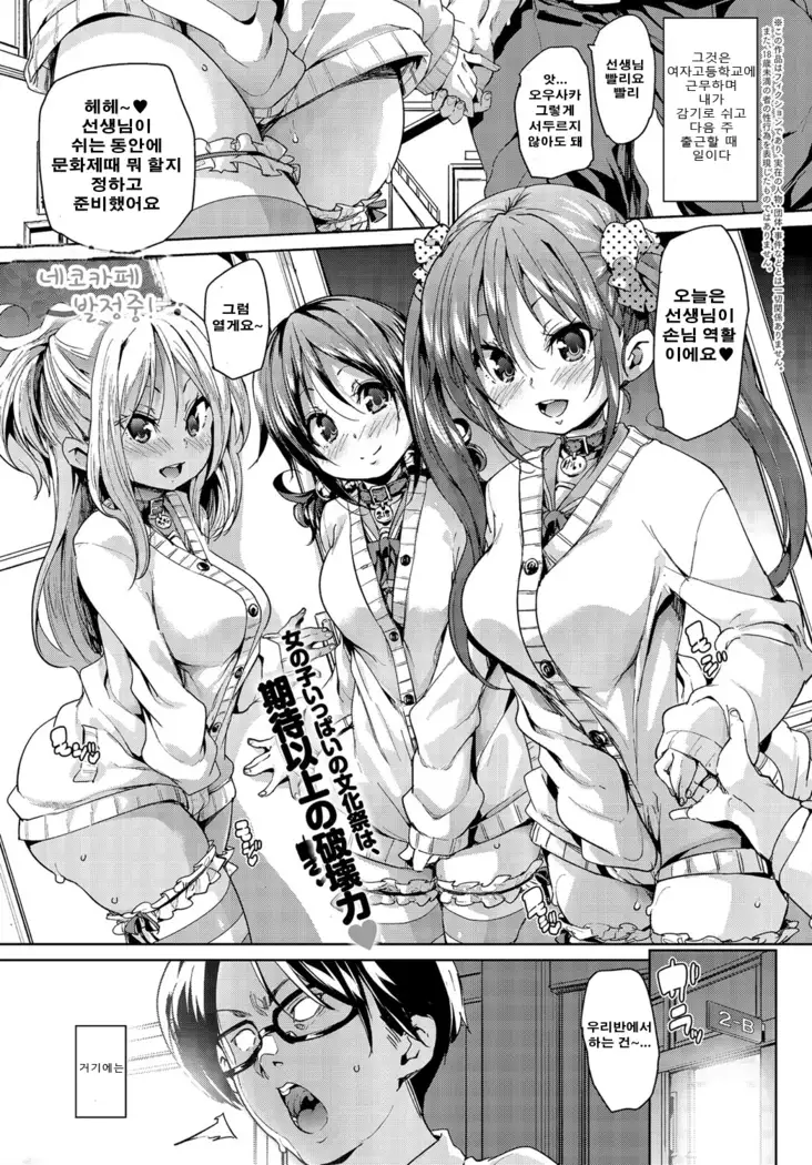 Nekocafe hatuzyuutyuu