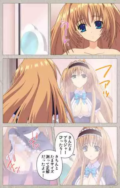 Asa Kara Zusshiri Milk Pot Kanzenban