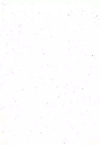 Reijou Shigan 3