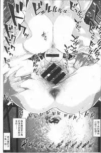 [Survival Knife] Sei ZONE - SEX ZONE [Chinese]