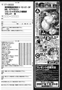 COMIC Mega GOLD 2007-07 Vol. 1