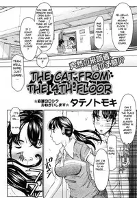 The Cat From The 4th Floor [English]
