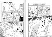 [Mii Akira] Lunatic Night 2