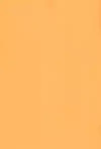 (C64) [CHROMATIC-ROOM (Maka Fushigi)] Vampiyan (Various)