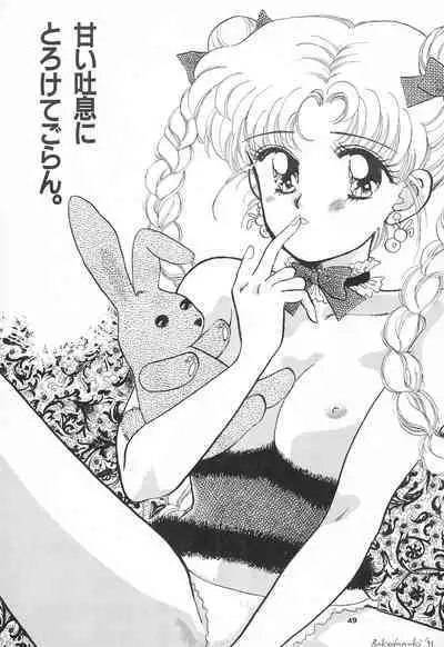 Hirake! Usagi-chan