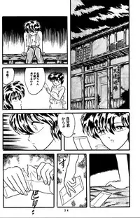 (C36) [Silicon Valley] Man in the Mirror (Ranma 1/2)