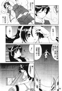 [Trochilidae] fighting queen 3 [Chiense]