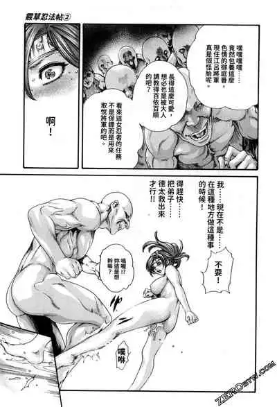 Araxa Ninpo-Cho 2 | 霰草忍法帖2